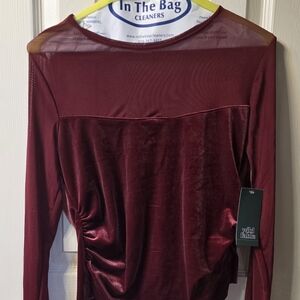 Wild Fable Velvet Long Sleeve Top in Deep Red